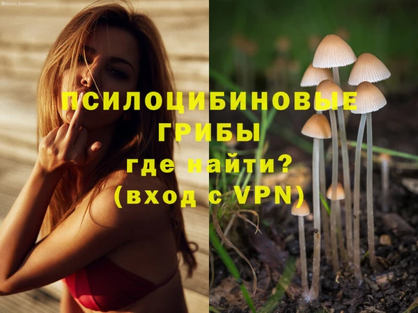хмурый Армянск