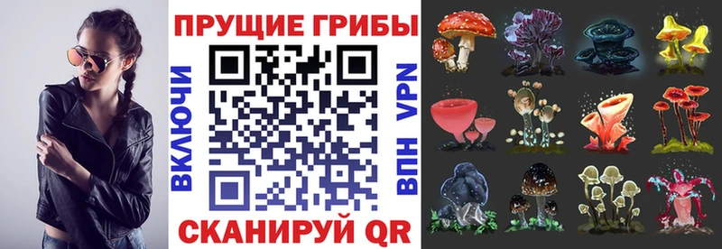 закладки  Райчихинск  MEGA как зайти  Псилоцибиновые грибы GOLDEN TEACHER 